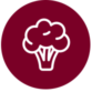 broccoli icon